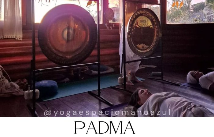 retiro-padma